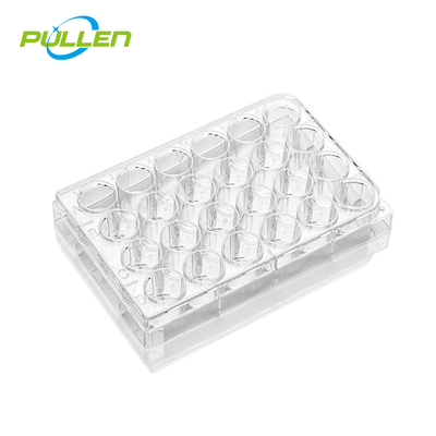 24孔细胞培养板