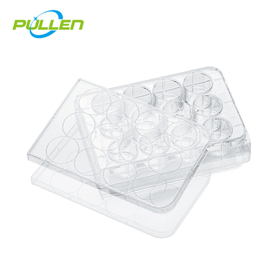 12孔细胞培养板