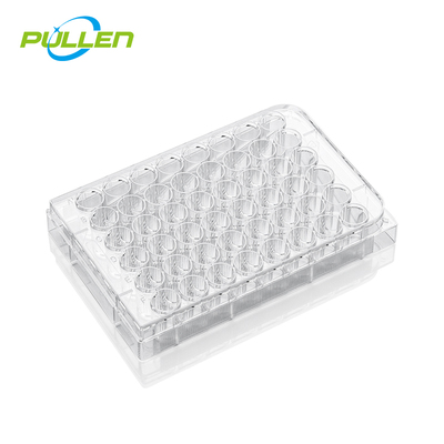 48孔细胞培养板